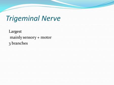 Trigeminal Nerve Largest mainly sensory + motor 3 branches.