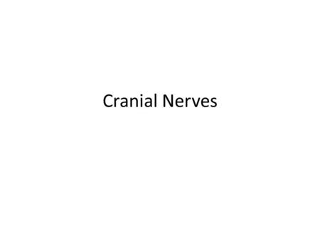 Cranial Nerves.