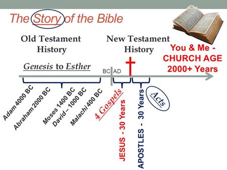 The Story of the Bible Old Testament History Adam 4000 BC Moses 1400 BC Malachi 400 BC David – 1000 BC Abraham 2000 BC JESUS - 30 Years APOSTLES - 30 Years.