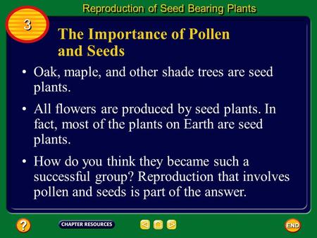 The Importance of Pollen and Seeds