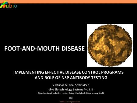 © 2008 ubio. All rights reserved. 1 FOOT-AND-MOUTH DISEASE IMPLEMENTING EFFECTIVE DISEASE CONTROL PROGRAMS AND ROLE OF NSP ANTIBODY TESTING V I Bishor.