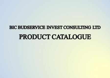 Our company BIC Budservice Invest Consulting Ltd was established to unite different companies and to achieve high purposes. The place of incorporation.