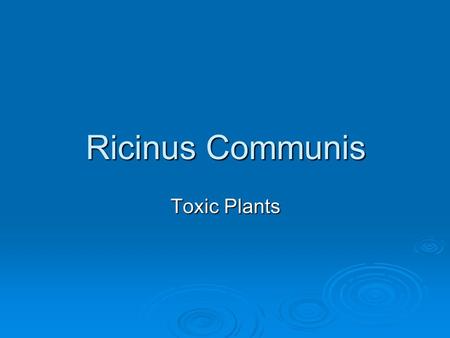 Ricinus Communis Toxic Plants.