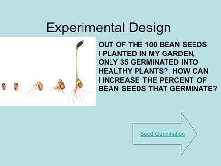 Experimental Design OUT OF THE 100 BEAN SEEDS I PLANTED IN MY GARDEN,
