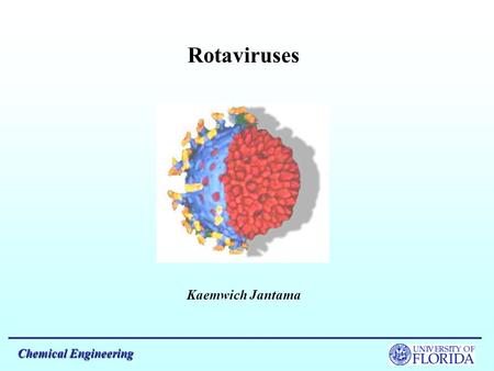 Rotaviruses Kaemwich Jantama Chemical Engineering.