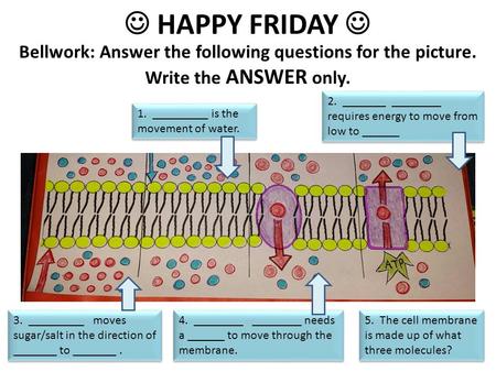 HAPPY FRIDAY Bellwork: Answer the following questions for the picture. Write the ANSWER only. 1. _________ is the movement of water. 2. _______ ________.