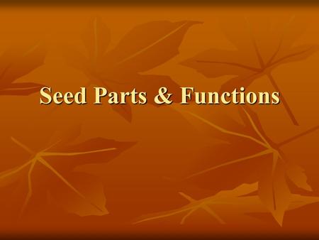 Seed Parts & Functions. Seeds There are 2 types of seeds There are 2 types of seeds 1. Monocot 1. Monocot 2. Dicot 2. Dicot “Mono” is Latin for one “Mono”