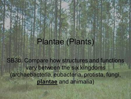 Plantae (Plants) SB3b. Compare how structures and functions vary between the six kingdoms (archaebacteria, eubacteria, protista, fungi, plantae and animalia)