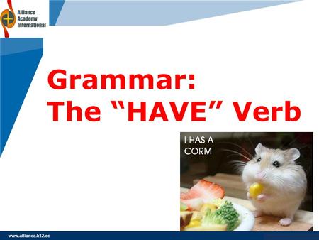 Grammar: The “HAVE” Verb