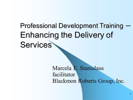 1 Professional Development Training – Enhancing the Delivery of Services Marcela E. Stanislaus facilitator Blackmon Roberts Group, Inc.