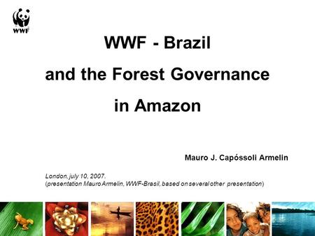 WWF - Brazil and the Forest Governance in Amazon