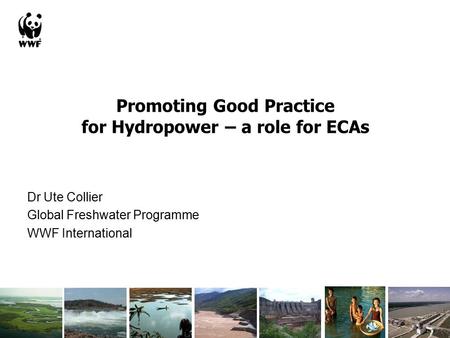 Promoting Good Practice for Hydropower – a role for ECAs Dr Ute Collier Global Freshwater Programme WWF International.