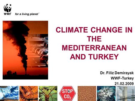 Dr. Filiz Demirayak WWF-Turkey 21.02.2009 CLIMATE CHANGE IN THE MEDITERRANEAN AND TURKEY.