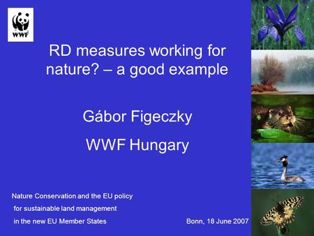 RD measures working for nature? – a good example Gábor Figeczky WWF Hungary Nature Conservation and the EU policy for sustainable land management in the.
