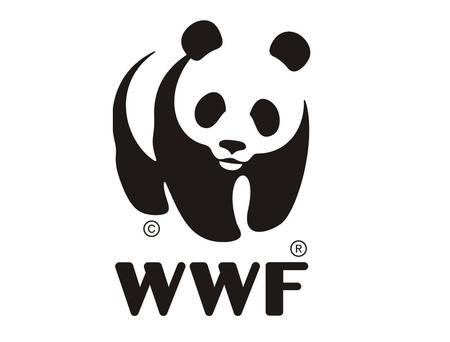 Partners for Biodiversity Protection in the Caucasus WWF Norway & WWF Caucasus.