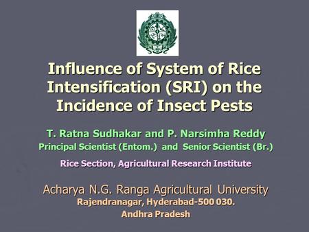 Influence of System of Rice Intensification (SRI) on the Incidence of Insect Pests T. Ratna Sudhakar and P. Narsimha Reddy Principal Scientist (Entom.)