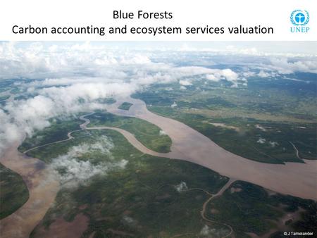 Blue Forests Carbon accounting and ecosystem services valuation © J Tamelander.