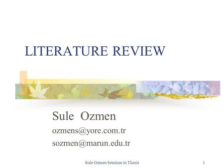 Sule Ozmen ozmens@yore.com.tr sozmen@marun.edu.tr LITERATURE REVIEW Sule Ozmen ozmens@yore.com.tr sozmen@marun.edu.tr Sule Ozmen Seminar in Thesis.
