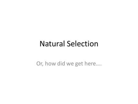 Natural Selection Or, how did we get here….. Natural Selection The Theory of Natural Selection is so simple that anyone can misunderstand it…. (Anonymous)