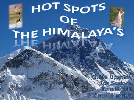 Overview of the Himalayas Location- stretches through Nepal, Pakistan, Bhutan, and India (Northern Asia) Divided into two regions: Eastern Himalayas and.