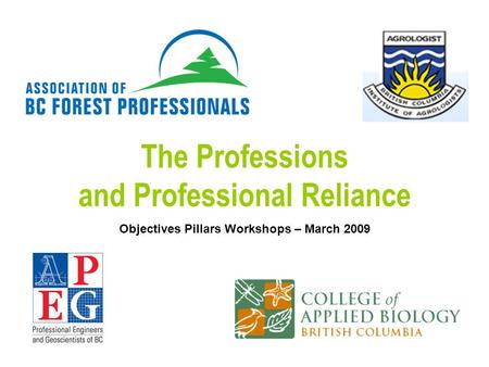 The Professions and Professional Reliance Objectives Pillars Workshops – March 2009.