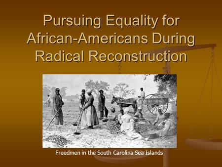 Pursuing Equality for African-Americans During Radical Reconstruction Freedmen in the South Carolina Sea Islands.