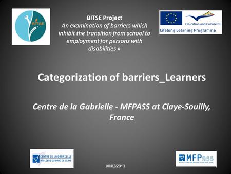 06/02/2013 1 BITSE Project An examination of barriers which inhibit the transition from school to employment for persons with disabilities » Categorization.