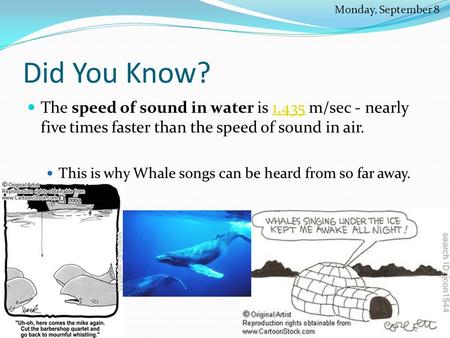 Did You Know? The speed of sound in water is 1,435 m/sec - nearly five times faster than the speed of sound in air.1,435 This is why Whale songs can be.