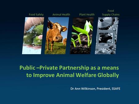 Public –Private Partnership as a means to Improve Animal Welfare Globally Dr Ann Wilkinson, President, SSAFE Food SafetyAnimal HealthPlant Health Food.