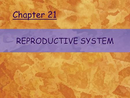 REPRODUCTIVE SYSTEM Chapter 21. © 2004 Delmar Learning, a Division of Thomson Learning, Inc. FUNCTIONS OF THE REPRODUCTIVE SYSTEM The reproductive system.
