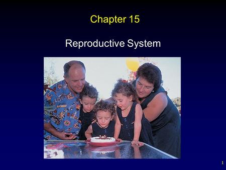 Chapter 15 Reproductive System.