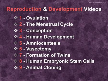 Reproduction & Development Videos 1 -Ovulation 1 -Ovulation  1 - Ovulation 1 - Ovulation 2 - The Menstrual Cycle 2 - The Menstrual Cycle  2 - The Menstrual.