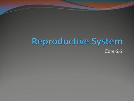 Reproductive System Core 6.6.