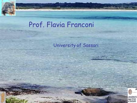 Prof. Flavia Franconi University of Sassari. Pharmacogenetics chronopharlacology Pharmacogenetics chronopharlacology Drugs Pharmacokinetics Modulators.