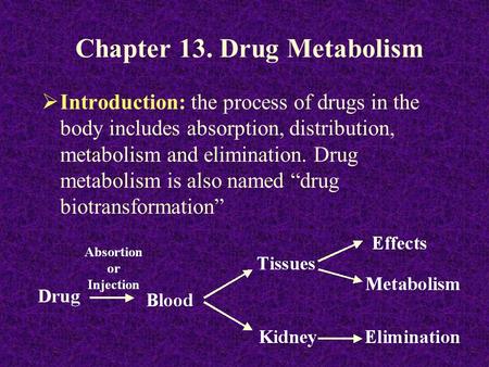 Chapter 13. Drug Metabolism