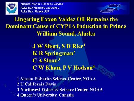 Lingering Exxon Valdez Oil Remains the Dominant Cause of CYP1A Induction in Prince William Sound, Alaska J W Short, S D Rice 1 K R Springman 2 C A Sloan.