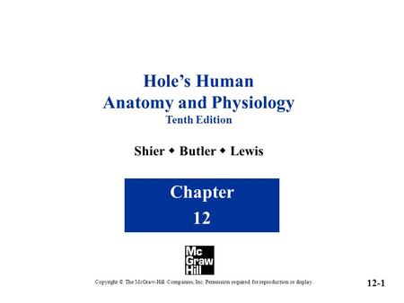 Hole’s Human Anatomy and Physiology Tenth Edition Shier  Butler  Lewis Chapter 12 Copyright © The McGraw-Hill Companies, Inc. Permission required for.