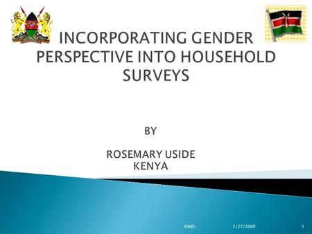 BY ROSEMARY USIDE KENYA 1KNBS1/27/2009. The Government has made efforts:  To mainstream gender at all levels  Achieve gender equity One of the initiatives.
