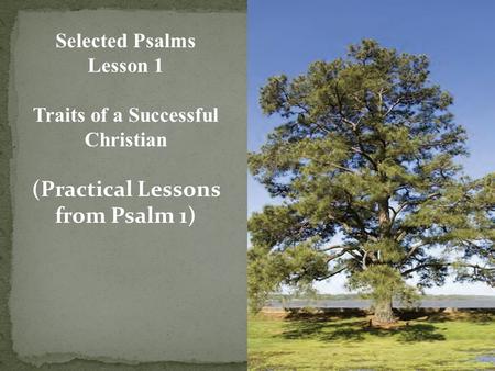 Selected Psalms Lesson 1 Traits of a Successful Christian (Practical Lessons from Psalm 1)