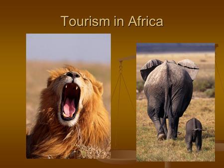 Tourism in Africa. African Safari In the 70's and early 80's, Kenya developed its safari industry In the 70's and early 80's, Kenya developed its safari.