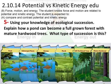 2.10.14 Potential vs Kinetic Energy edu S- Using your knowledge of ecological succession. Explain how a pond can become a full grown forest with mature.