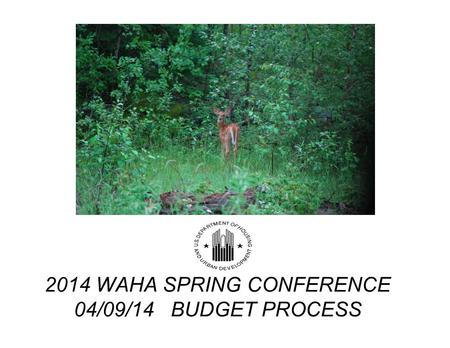 2014 WAHA SPRING CONFERENCE 04/09/14 BUDGET PROCESS.