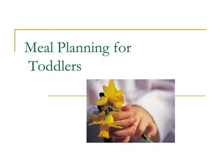 Meal Planning for Toddlers