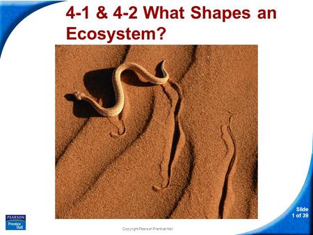 Slide 1 of 39 Copyright Pearson Prentice Hall 4-1 & 4-2 What Shapes an Ecosystem?