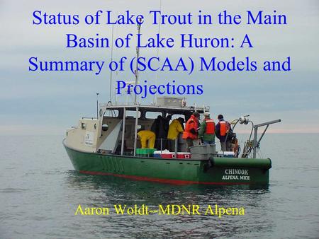 Status of Lake Trout in the Main Basin of Lake Huron: A Summary of (SCAA) Models and Projections Aaron Woldt--MDNR Alpena.