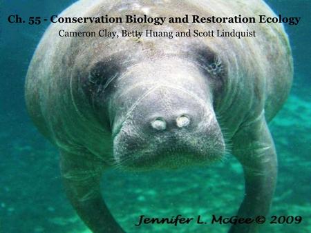 Cameron Clay, Betty Huang and Scott Lindquist Ch. 55 - Conservation Biology and Restoration Ecology.