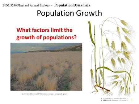 Population Growth What factors limit the growth of populations?