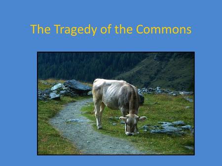 The Tragedy of the Commons. Garrett Hardin American Ecologist and Microbiologist (1915-2003) Controversial figure Concerned with overpopulation Pro-abortion.