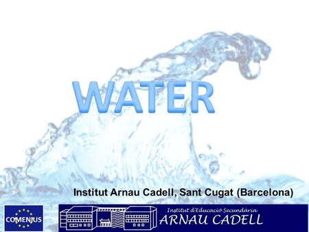 COMENIUS Institut Arnau Cadell, Sant Cugat (Barcelona)