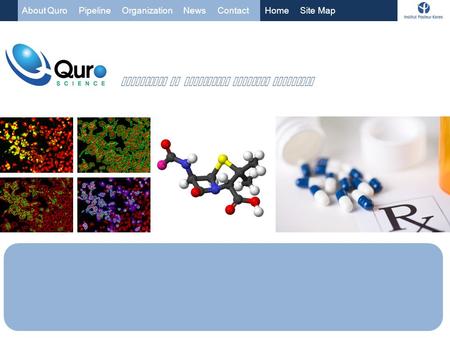 About Quro Pipeline Organization News ContactHome Site Map INNOVATION IN INFECTIOUS DISEASES TREATMENT.